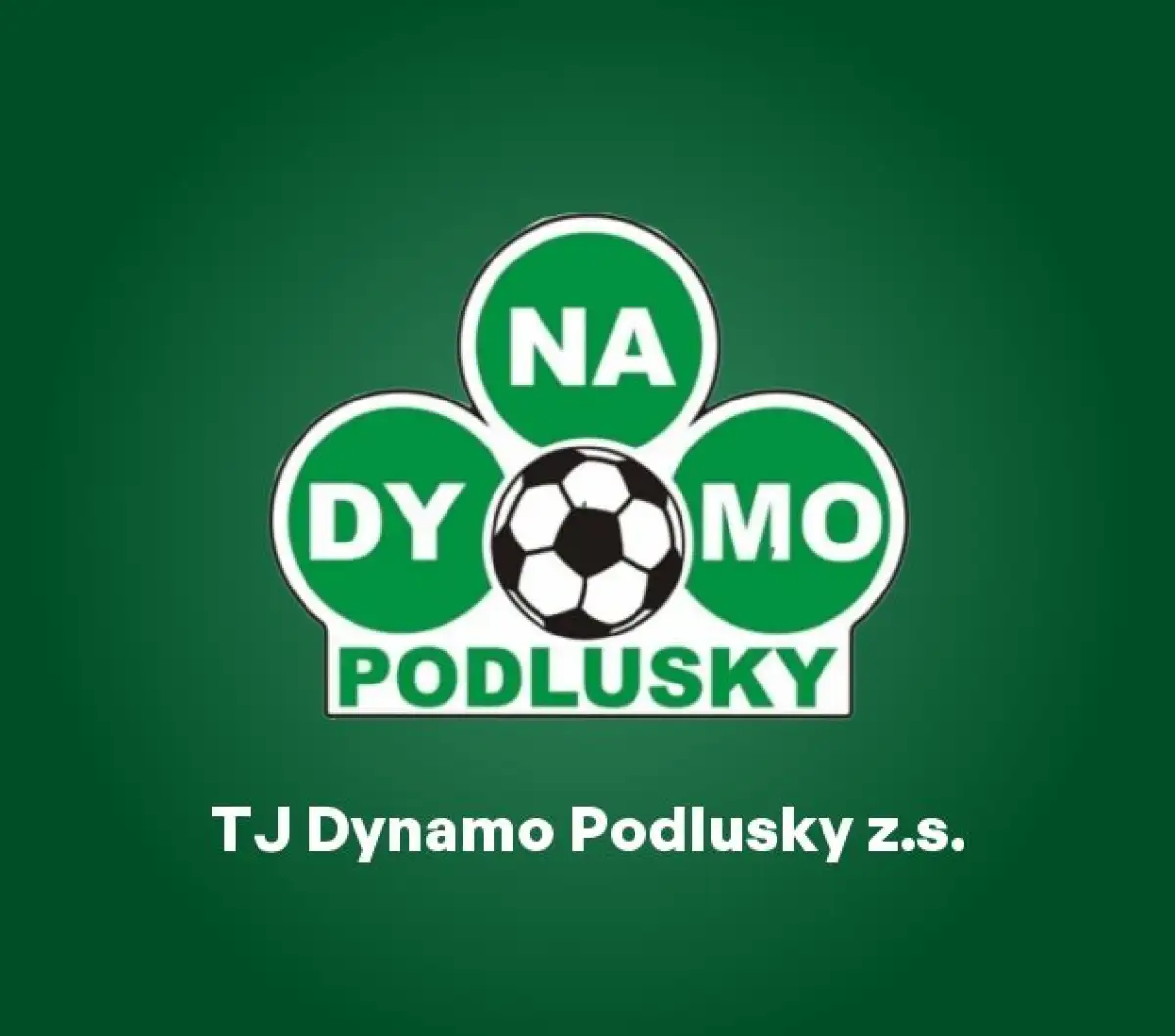 Přípravné utkání A tým vs. FK BECHLÍN